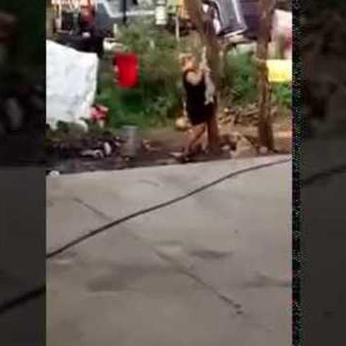 Vídeo de mujer ahorcando a un perro de un árbol causa indignación