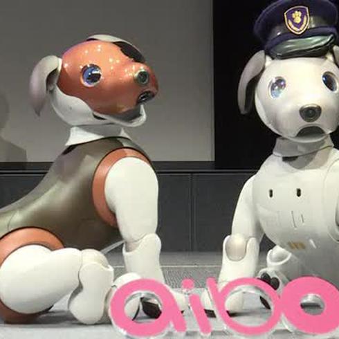 Ahora hay un perro robot que puede vigilar tu casa