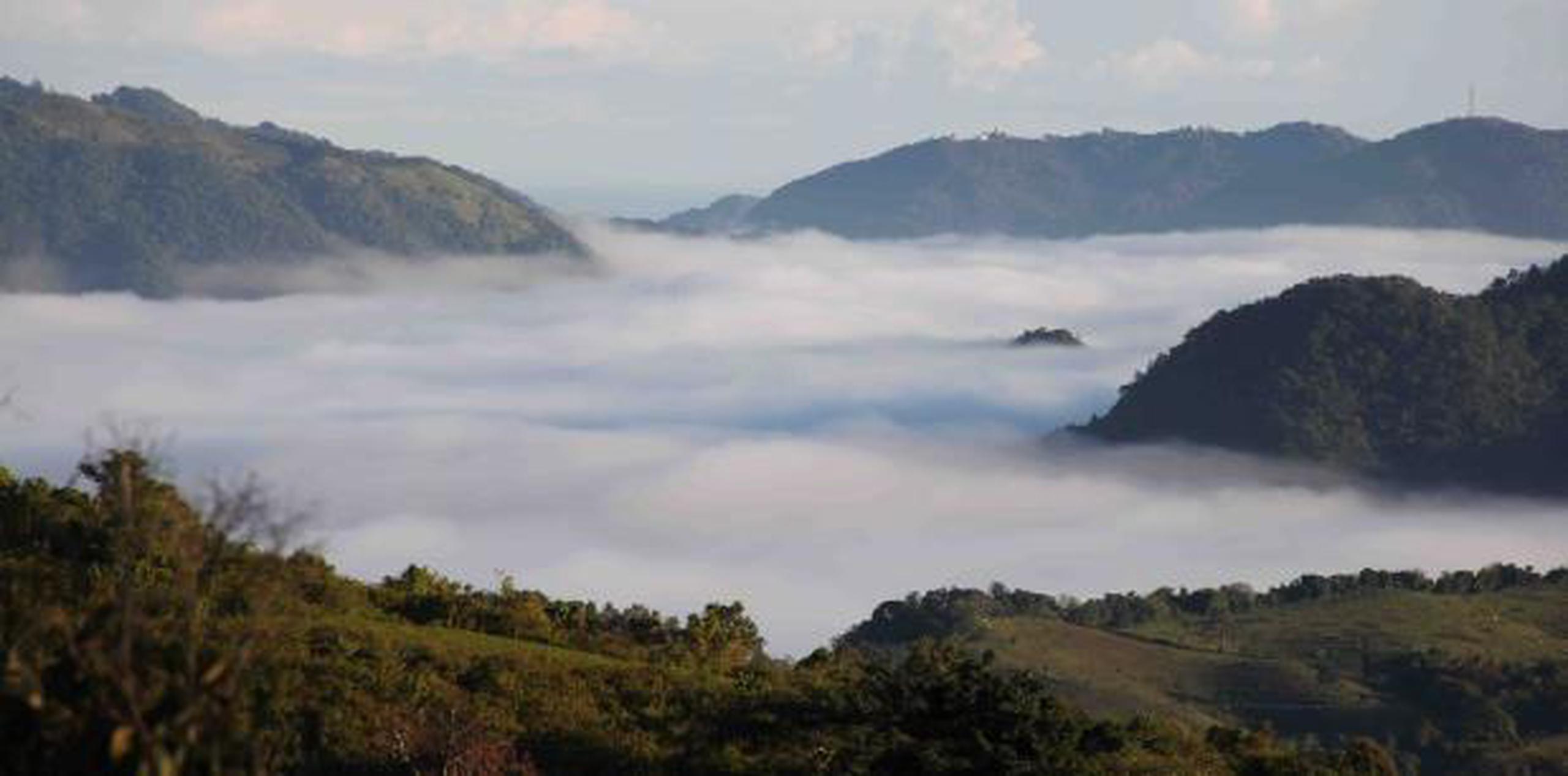 Imagen de la neblina en las montañas de Aibonito. (Archivo)