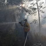 Bomberos controlan un incendio cerca de Jerusalén