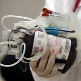 Exhortan a donar sangre y plaquetas en la sede del Comité Olímpico