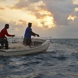 Agricultura anuncia solicitud en línea para incentivos a pescadores