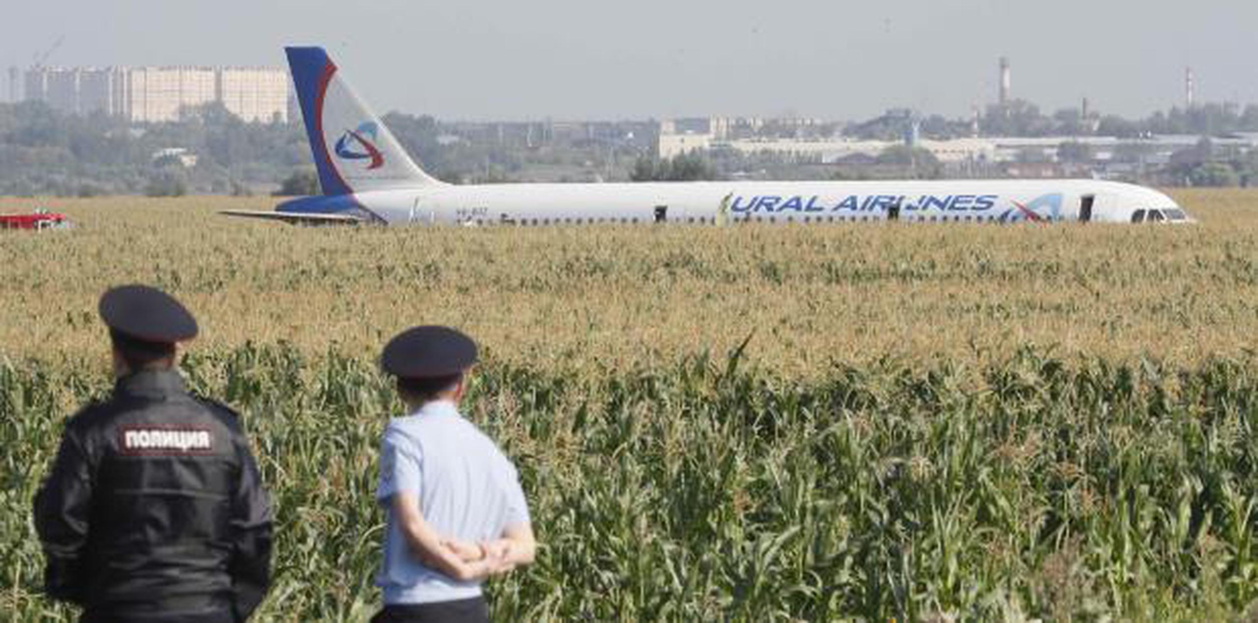El avión chocó con una bandada de pájaros al despegar del aeropuerto. (EFE / EPA / Sergei Ilnitsky)