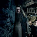 Revelan las causas de la muerte del actor que interpretó a Hagrid en “Harry Potter” 