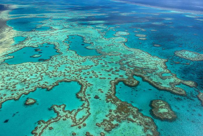 La Gran Barrera de coral, en el noreste de Australia, se está deteriorando por el calentamiento de las aguas, alertaron los científicos. (EFE)