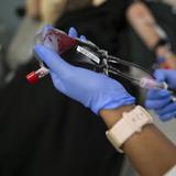 Banco de Sangre de Puerto Rico necesita donantes tipo O