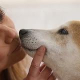 “Luisra” le pidió a Deddie Romero que cuidara a su perrito