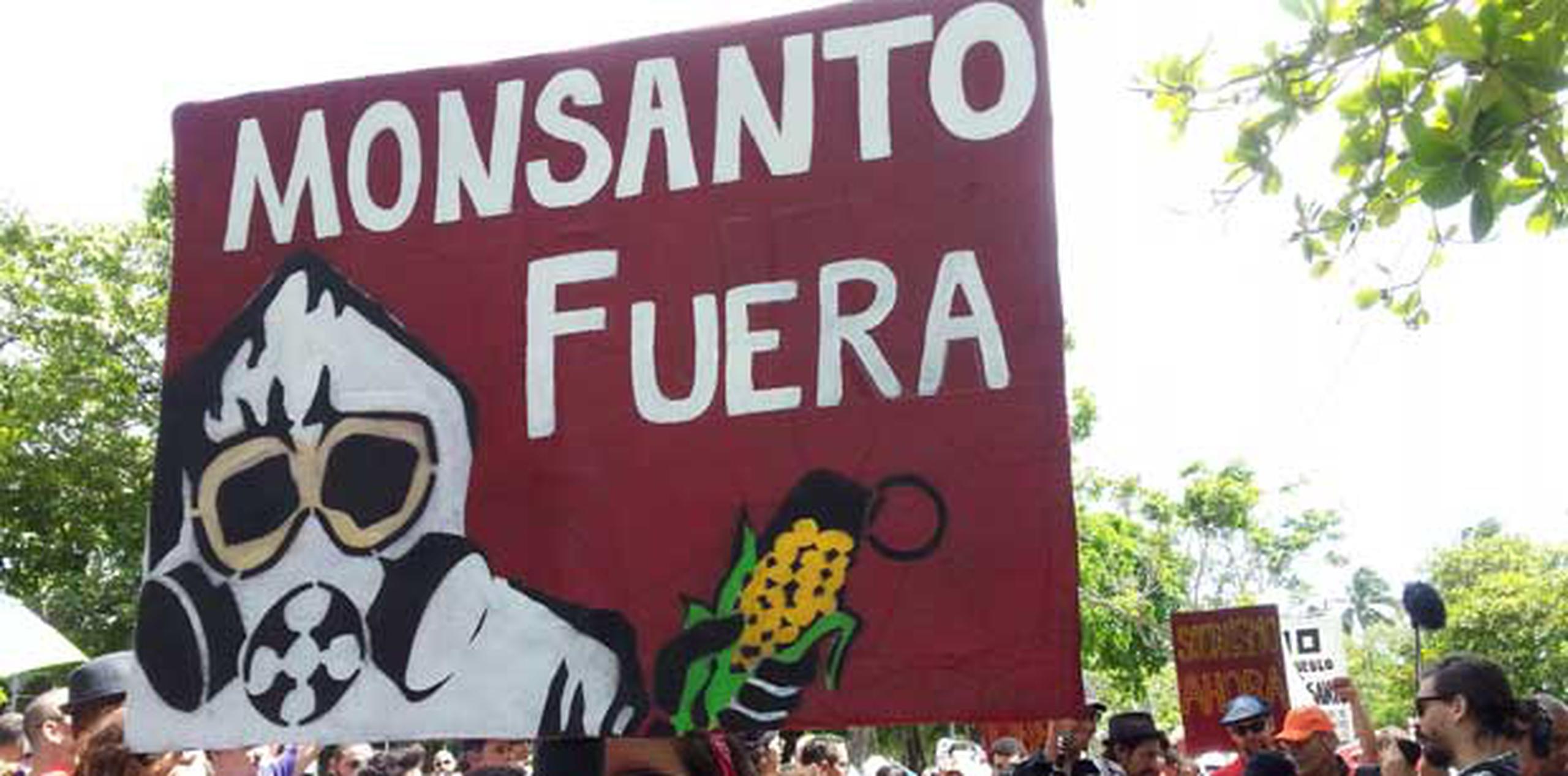 Monsanto ha sido señalado por grupos que aseguran que sus productos agrícolas son dañinos para la salud y que el químico glifosato, que utilizan en sus herbicidas, ha sido clasificado por la Agencia Internacional para la Investigación del Cáncer como “probablemente cancerígeno”. (Archivo)