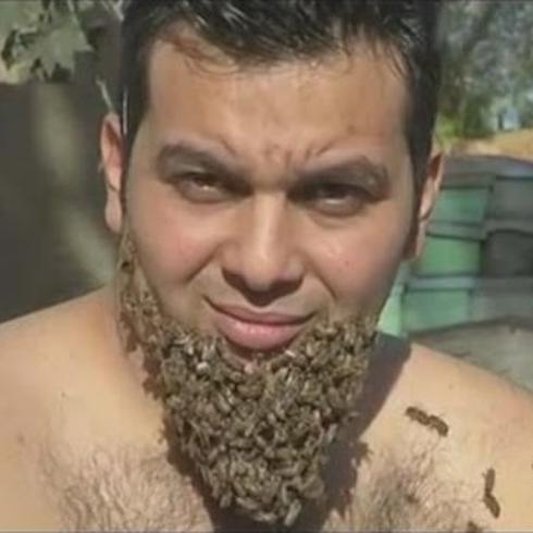 Hombre se deja crecer una 'barba de abejas' 