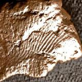 Descubren huellas dactilares dejadas hace más de 5,000 años