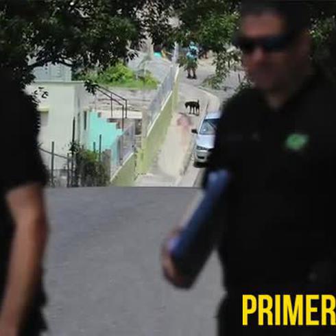 Detienen a sospechoso de asesinato en Ponce