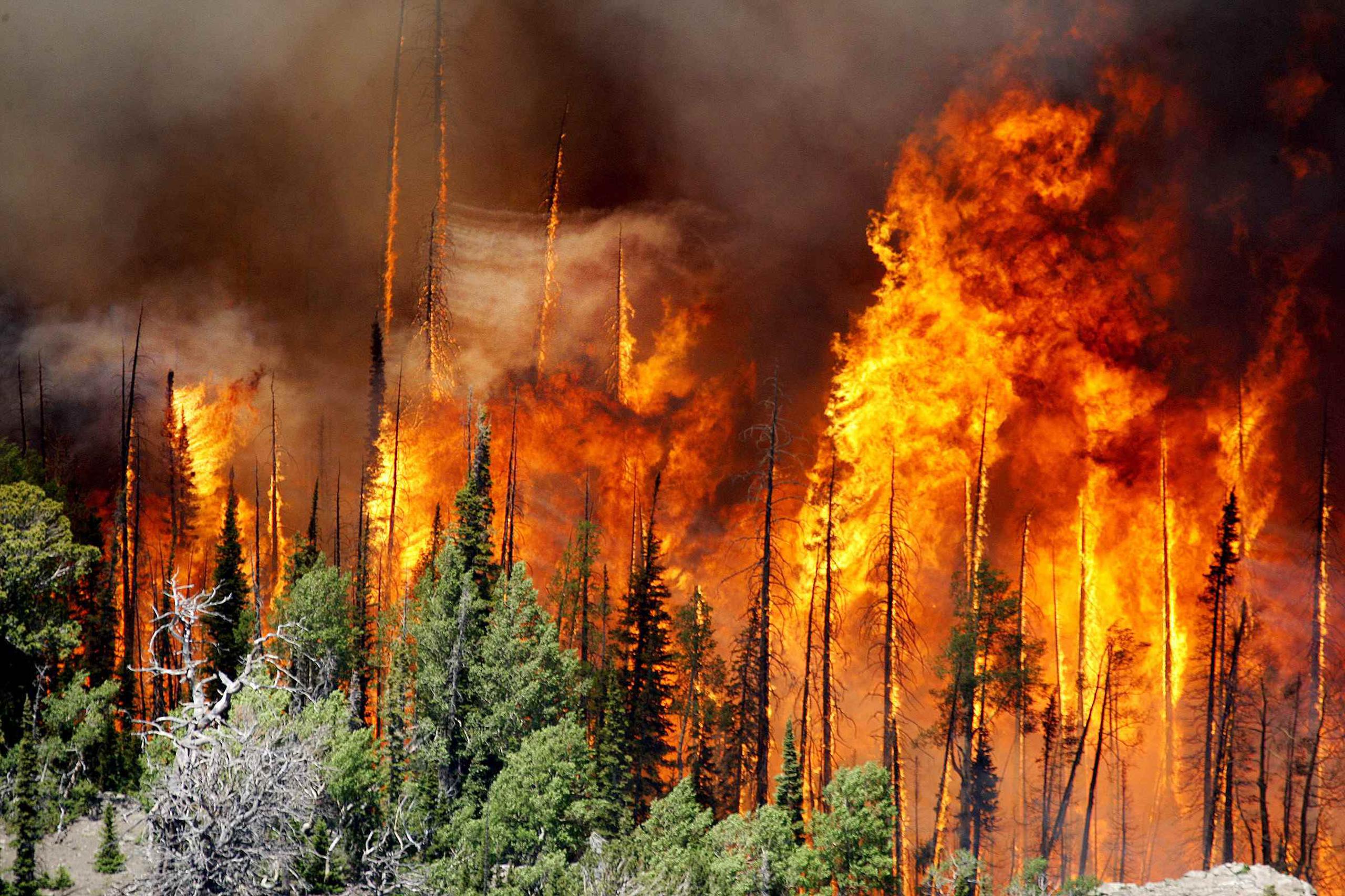 Bomberos en Utah tratan de frenar el avance de un incendio forestal que ha destruido 13 casas. (AP)