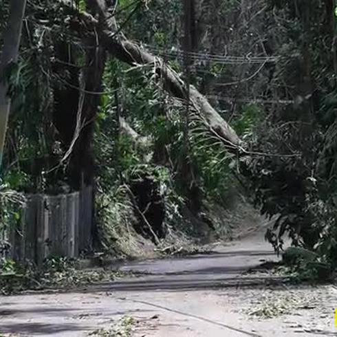 El Yunque sufrió "muchos daños"