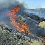 Estados Unidos lanza plan para prevenir incendios forestales en el oeste