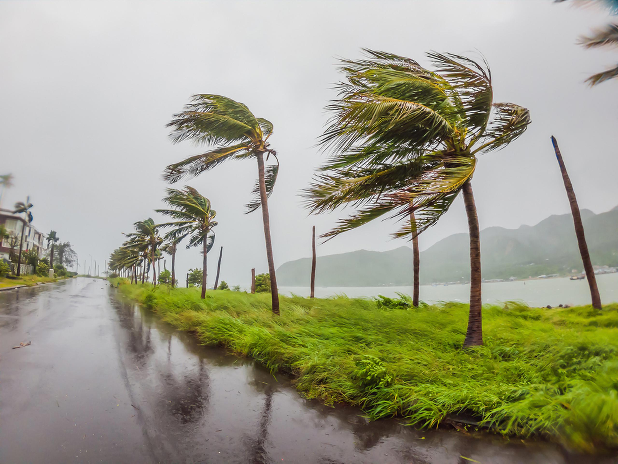 La NOAA pronostica que, este año, habrá un total de 12 a 17 tormentas con nombre (con vientos de 39 millas por hora o más); de las cuales entre 5 y 9 podrían convertirse en huracanes (con vientos de 74 mph o más), incluidos de 1 a 4 huracanes intensos (de categoría 3, 4 o 5, con vientos de 111 mph o más).