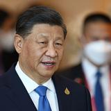 Video: Detienen bruscamente a intérprete del presidente chino Xi Jinping en Sudáfrica