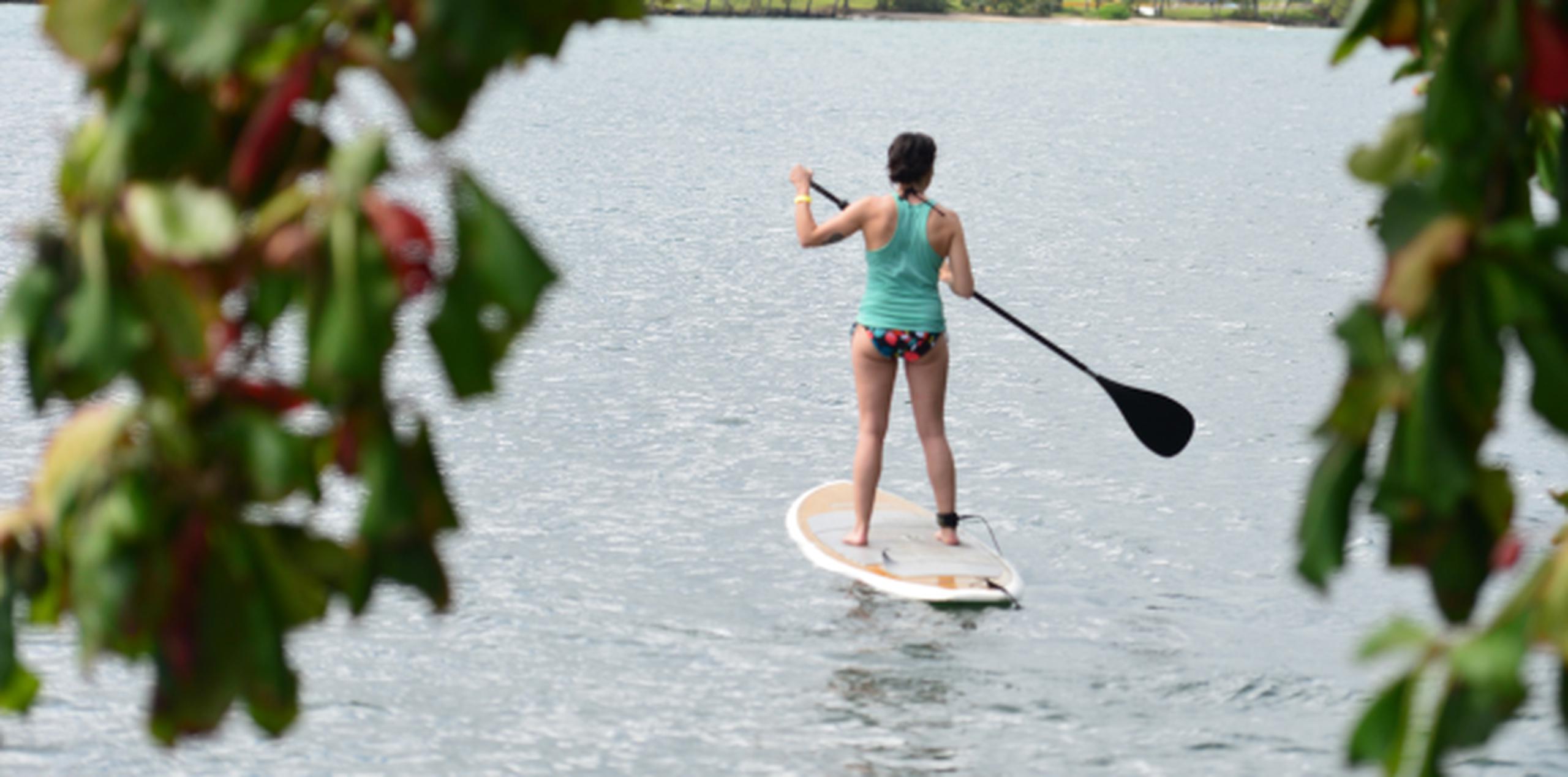 Fue gracias al yoga y a su práctica del "paddleboard", que Guerrero llevó ambas disciplinas a la Laguna de Condado, el cuerpo de agua con mayor diversidad de flora y fauna del Estuario de San Juan. (Archivo/luis.alcaladelolmo@gfrmedia.com)