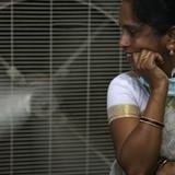 Al menos dos muertos con síntomas de insolación en la India por las altas temperaturas 