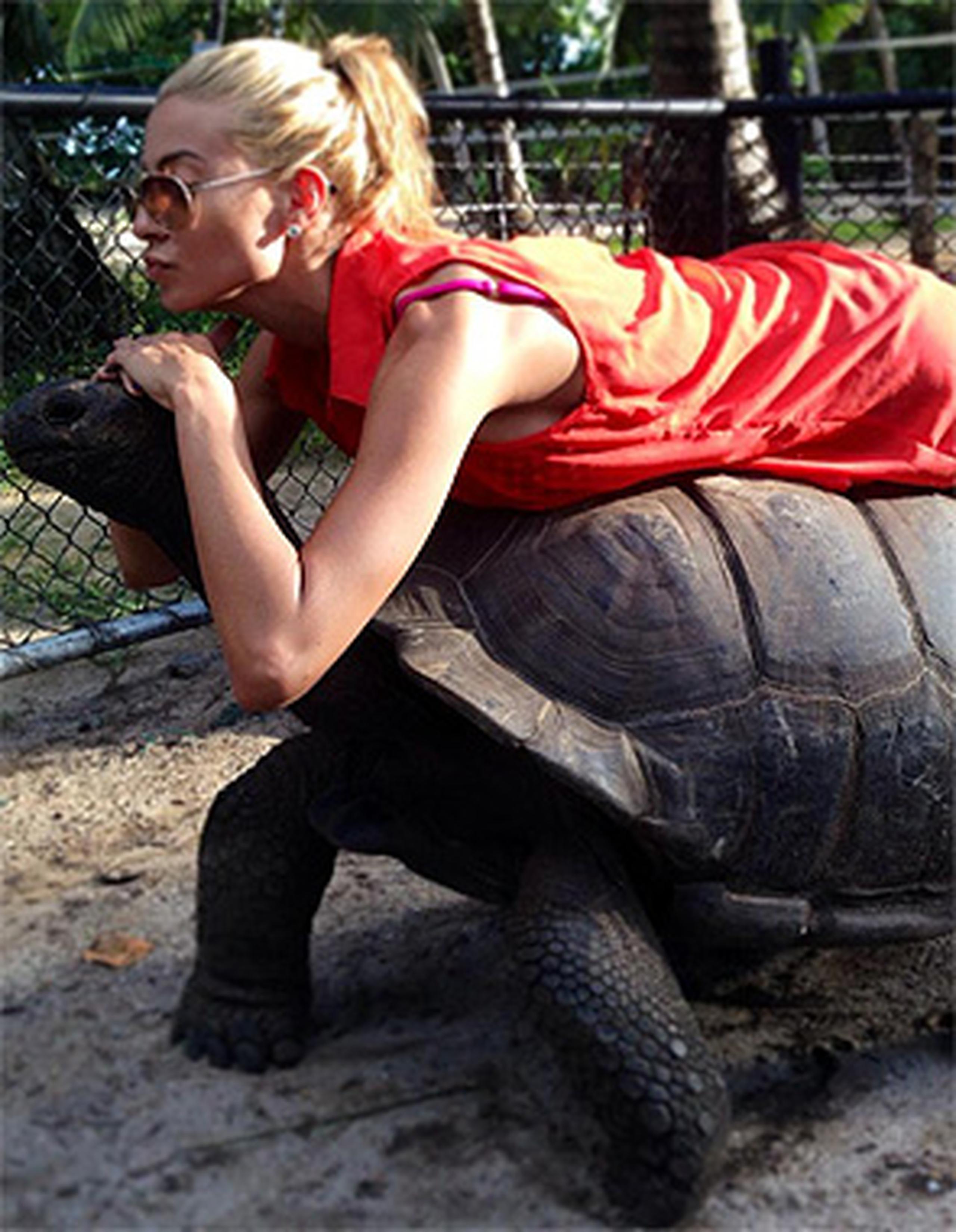 La finalista de Nuestra belleza latina 2011 disfrutó la aventura de montar una tortuga y expresó que no sintió en Dubái el temblor que afectó zonas de Irán y Paquistán. (Suminsitrada)