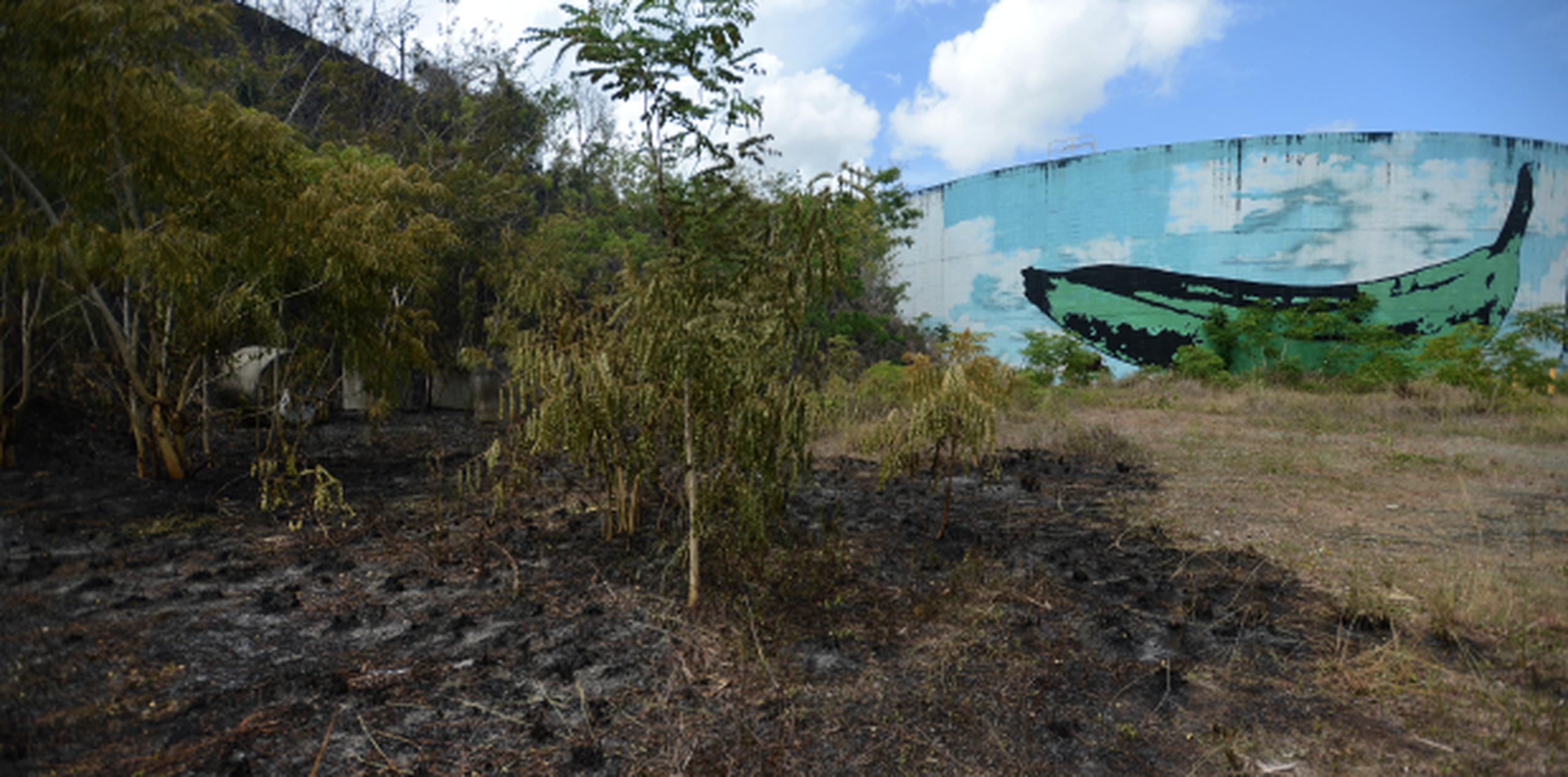 Uno de dos helicópteros que utilizaba la Guardia Nacional para rociar agua desde el aire también sirvió para apoyar la operación en Caguas. (ana.abruna@gfrmedia.com)