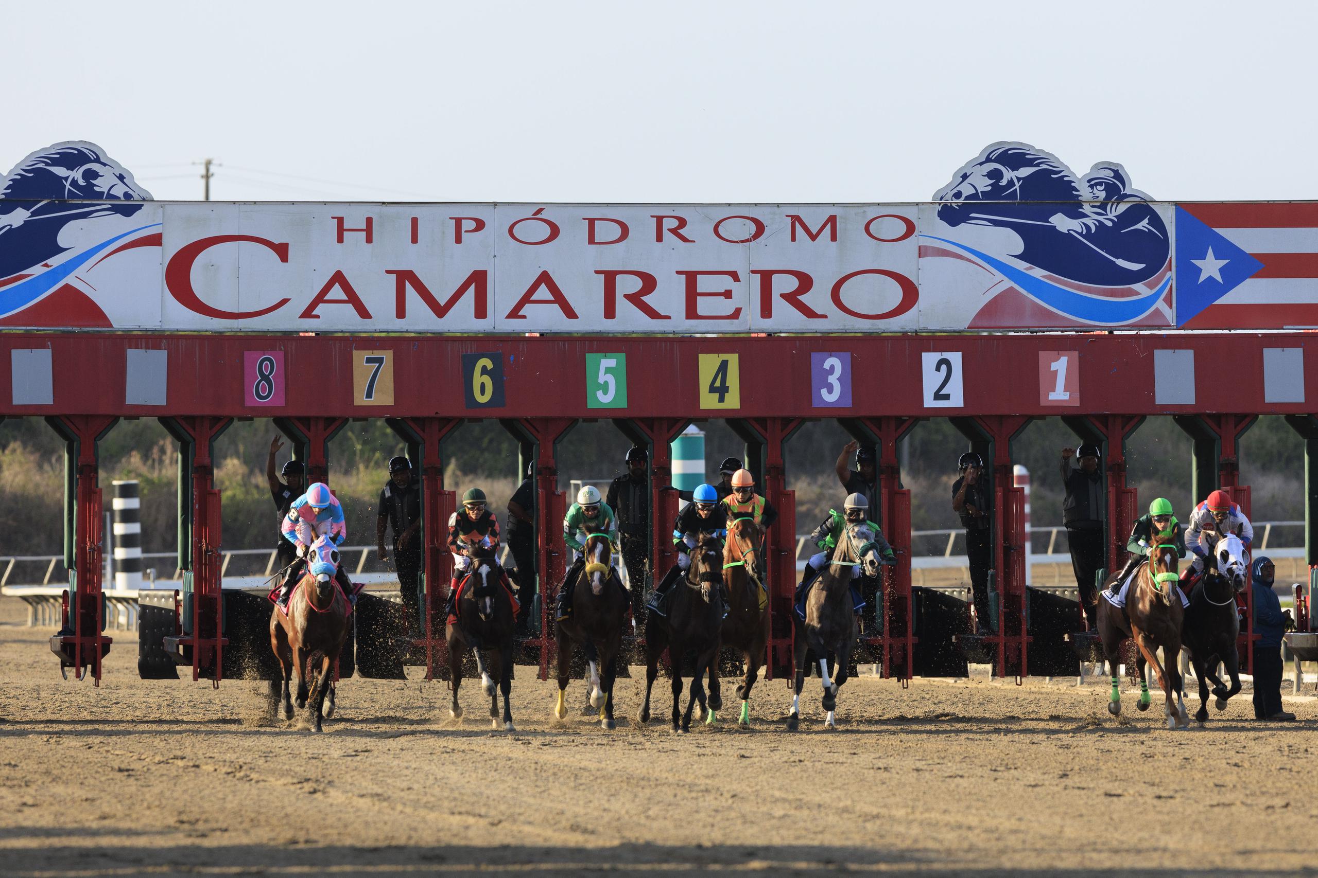 Imagen de archivo de una carrera en el hipódromo Camarero, en Canóvanas.
