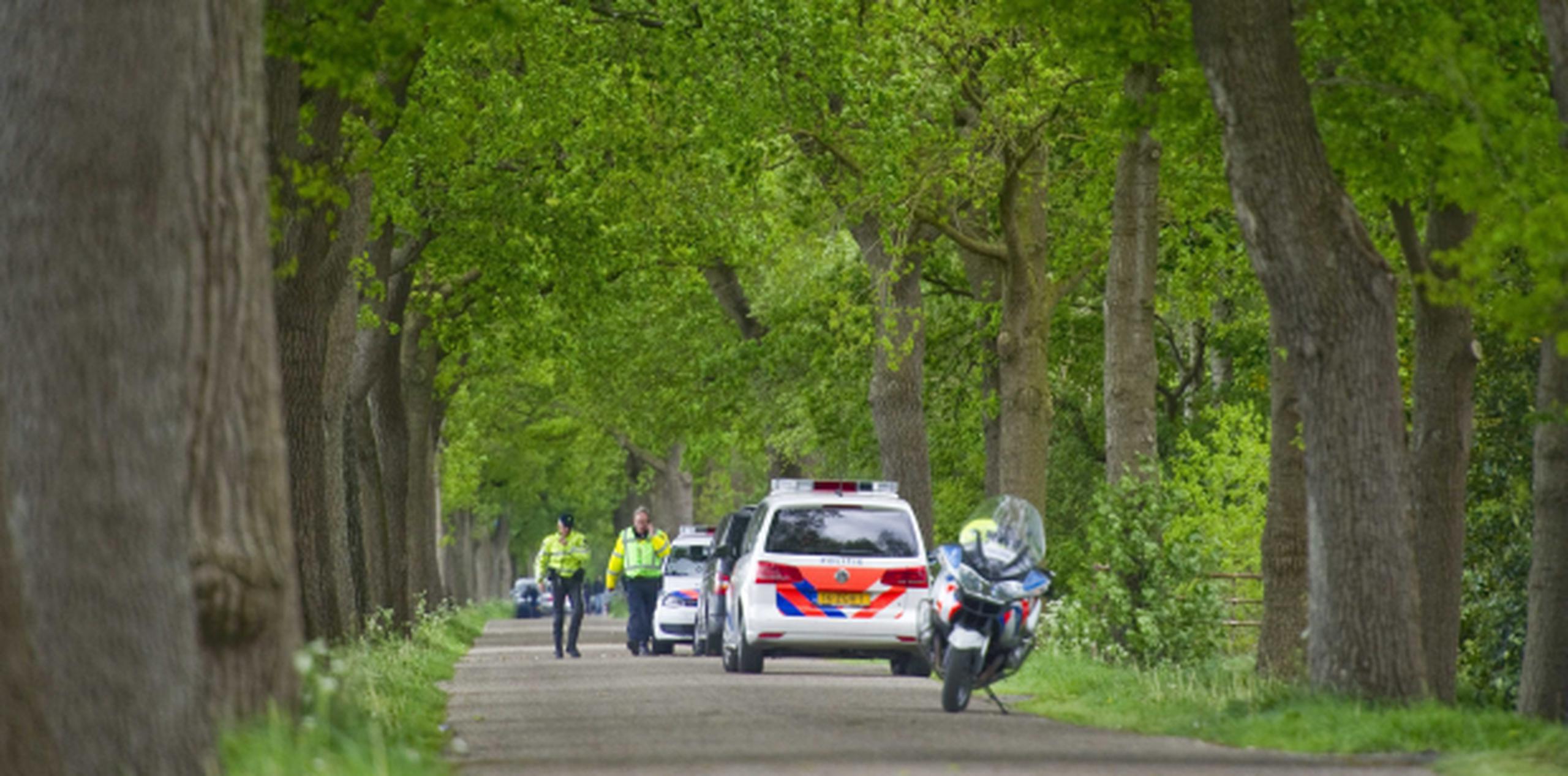 Policía holandesa bloquea un camino ante la fuga de dos tigres. (Prensa Asociada)