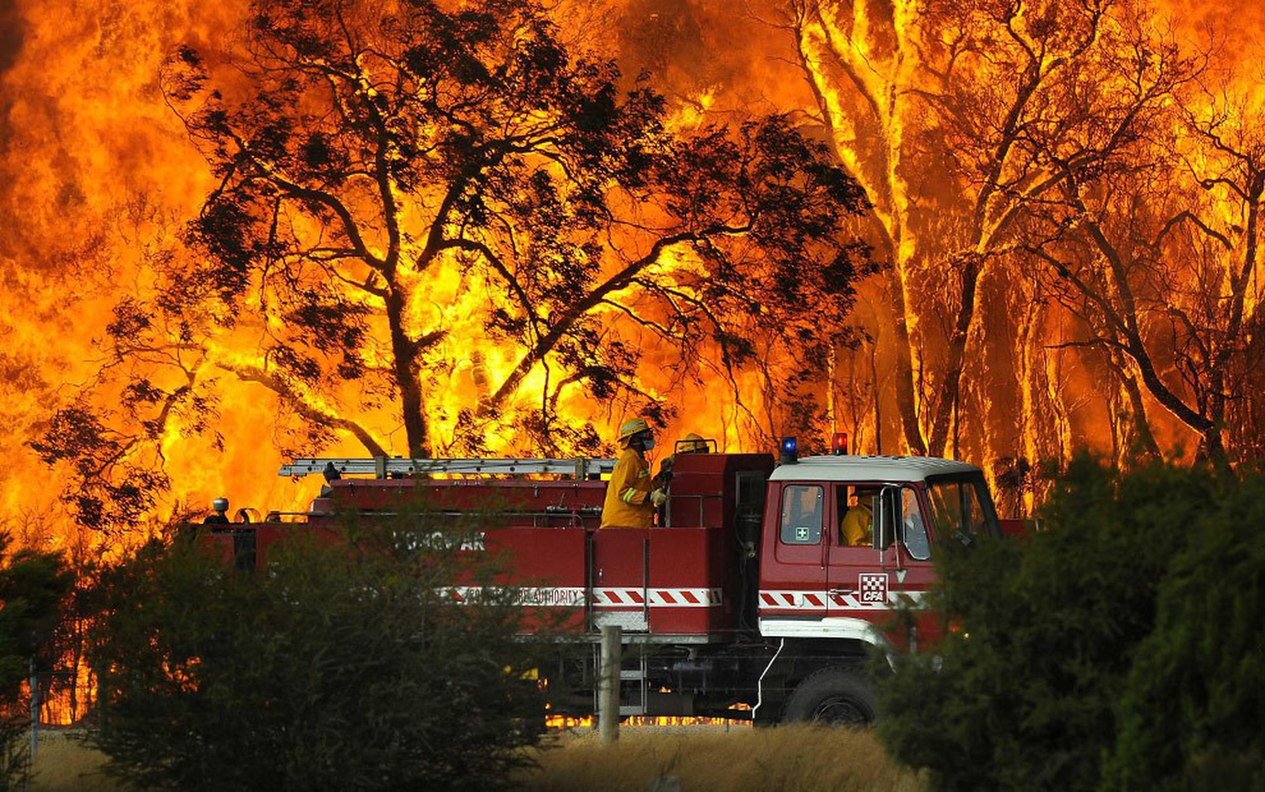 Los peores incendios registrados en Australia sucedieron en febrero de 2009, causaron 173 muertes y calcinaron 2,000 casas. (AP)