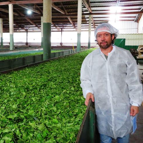 Mira cómo un boricua produce té en Ecuador