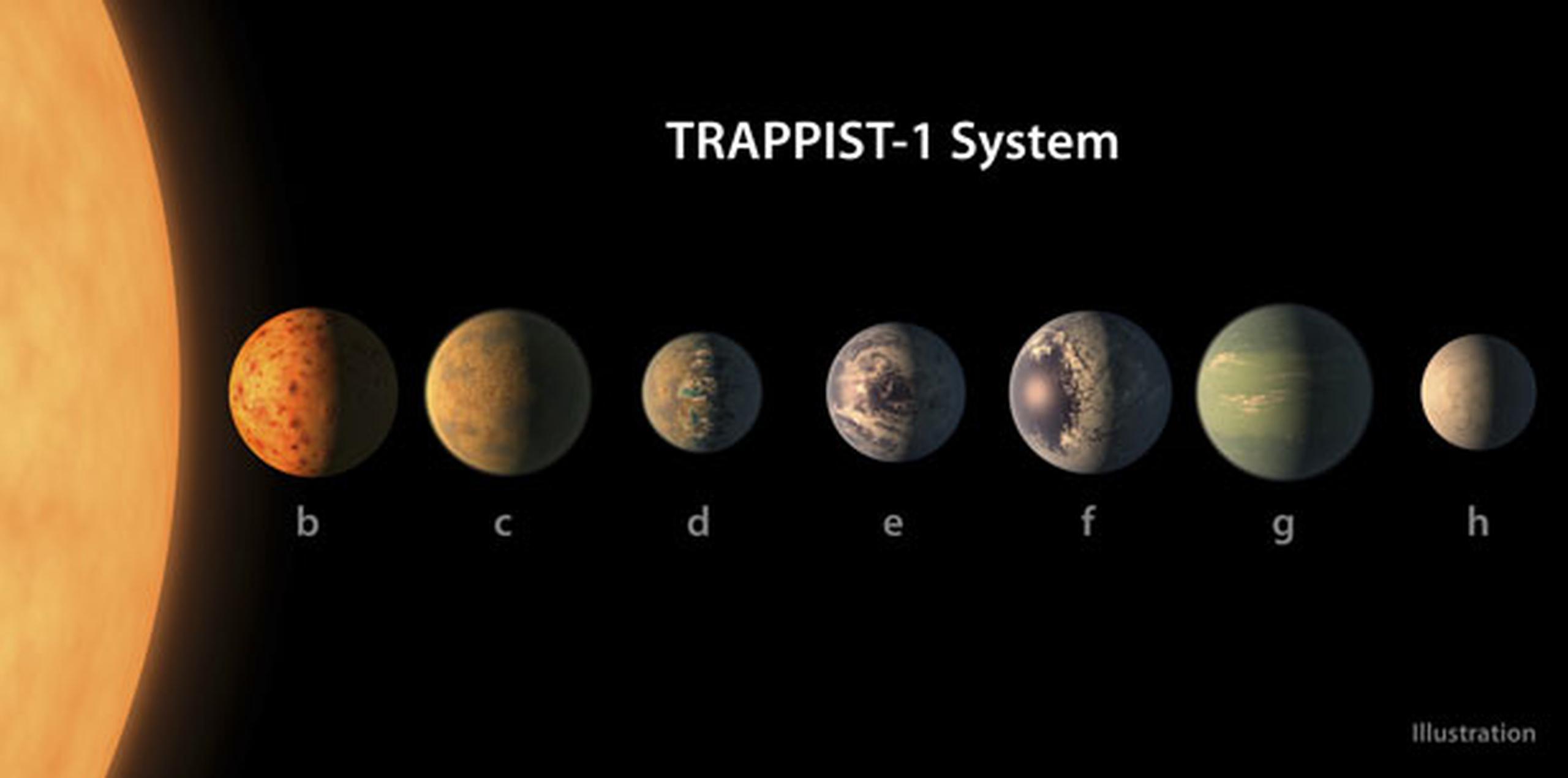 Los cuerpos recién descubiertos giran en órbitas planas y ordenadas alrededor de TRAPPIST-1, una estrella enana ultrafría con un brillo cerca de mil veces menor al del Sol. (NASA)