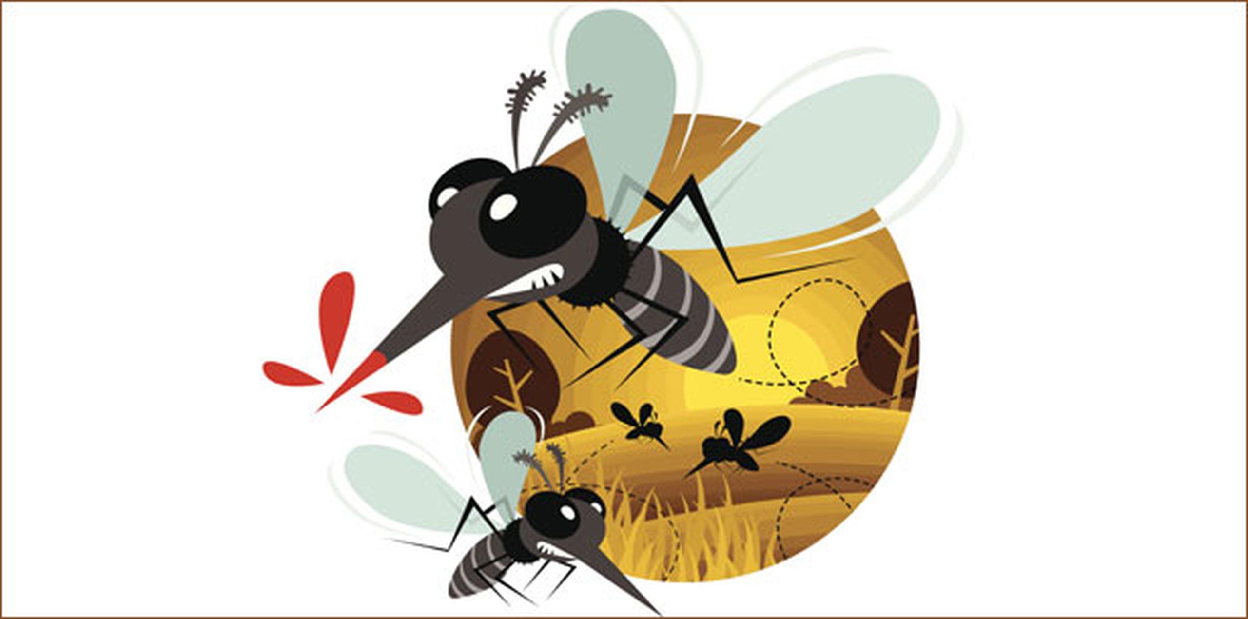 Existen más de 3,000 especies de mosquitos. (Archivo)