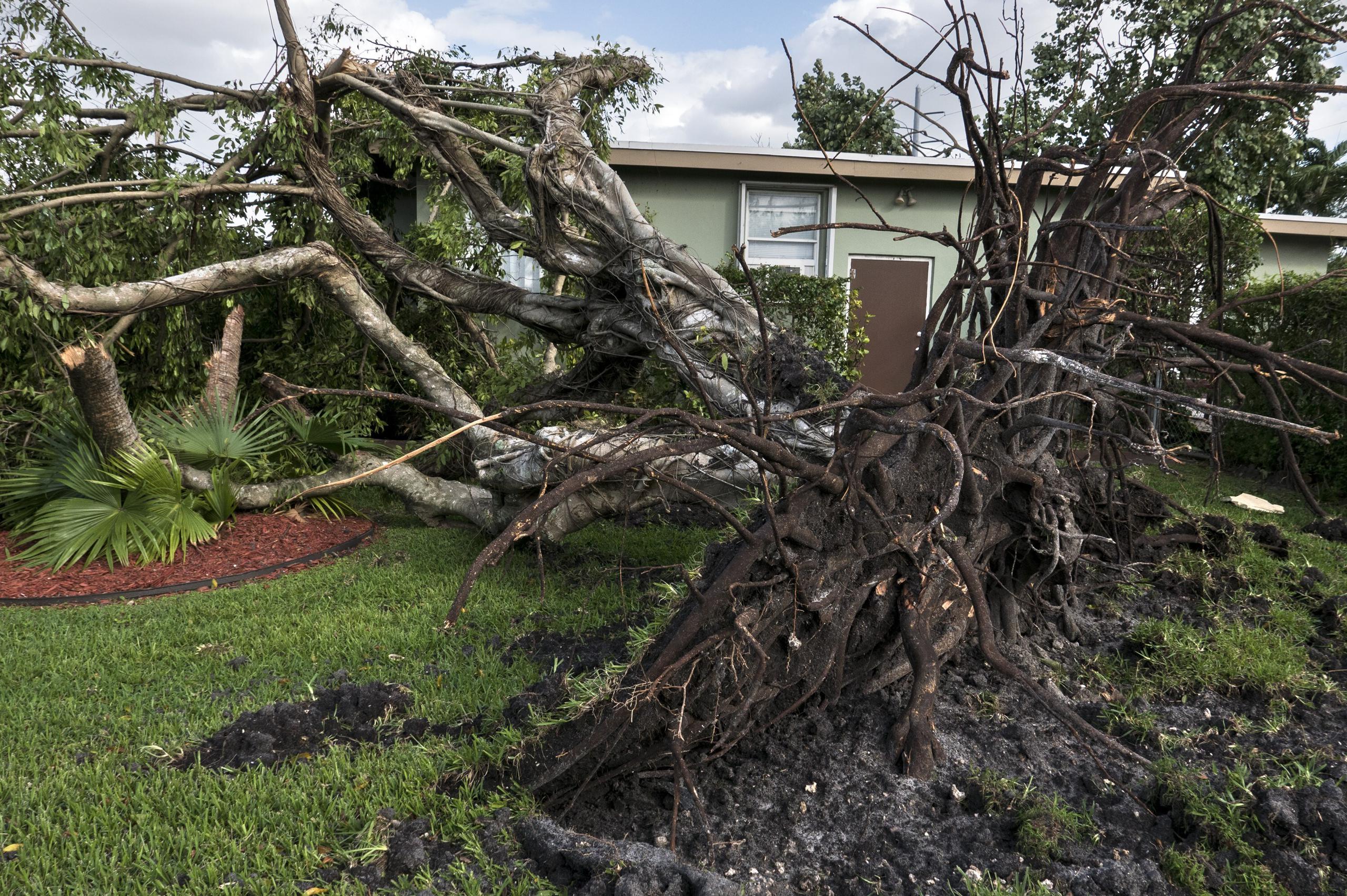 Las fuertes tormentas de este domingo también causaron importantes daños en el condado de Charlotte, y en la costa del Golfo de México, donde las autoridades locales abrieron un albergue para las personas afectadas.