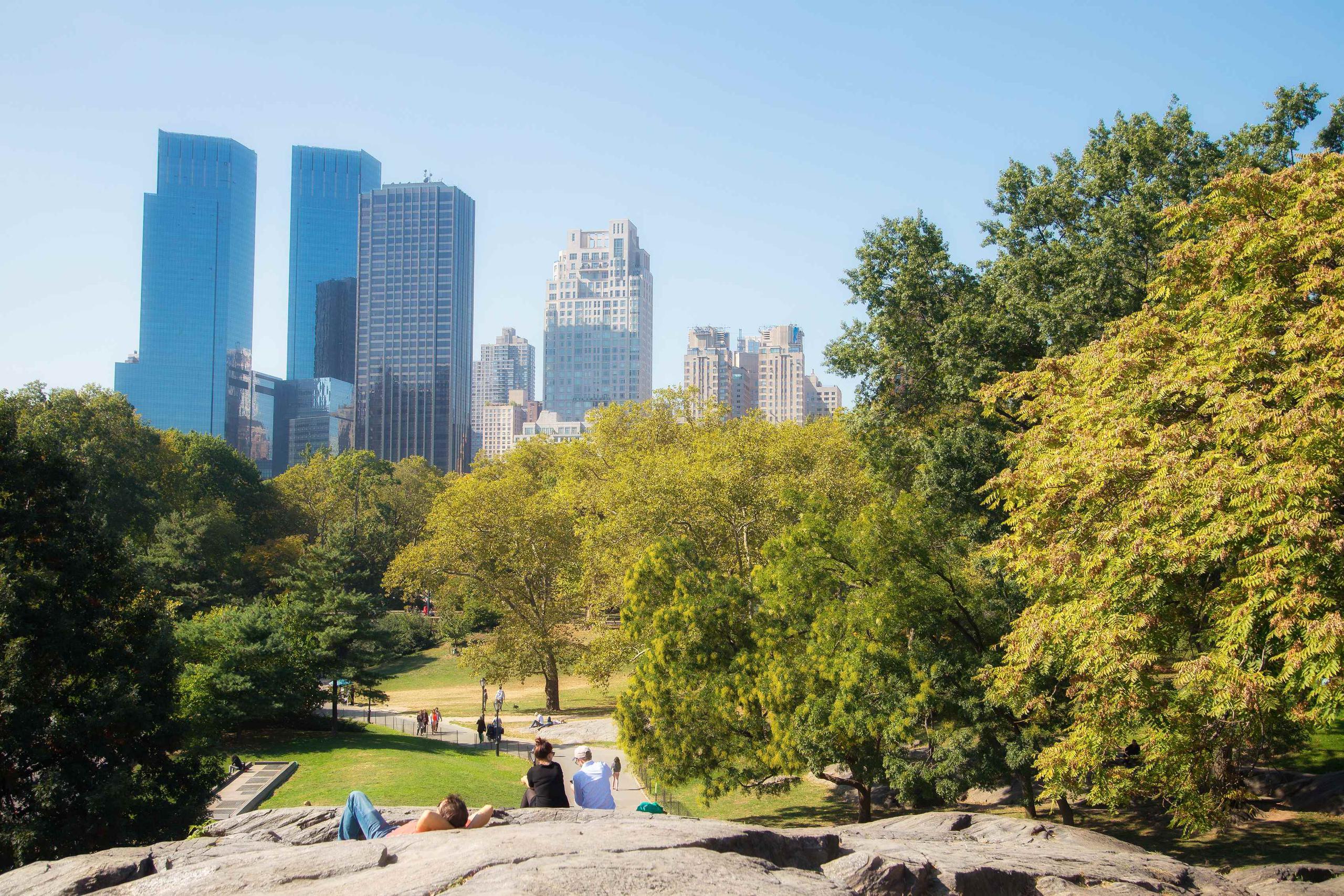 Unos 42 millones de personas visitan anualmente el Central Park. (GFR Media)