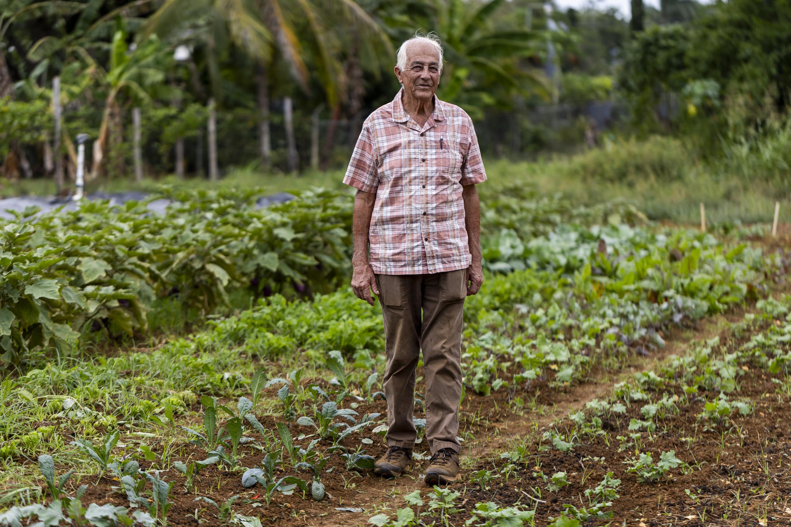 A sus 77 años, don Luis es un ejemplo de trabajo, firmeza y voluntad, ya que a diario madruga para labrar la tierra, atender sus cosechas y distribuirlas, regularmente, en varios establecimientos de la zona metropolitana.