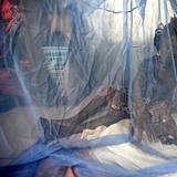 La malaria causó 619,000 muertes en 2021