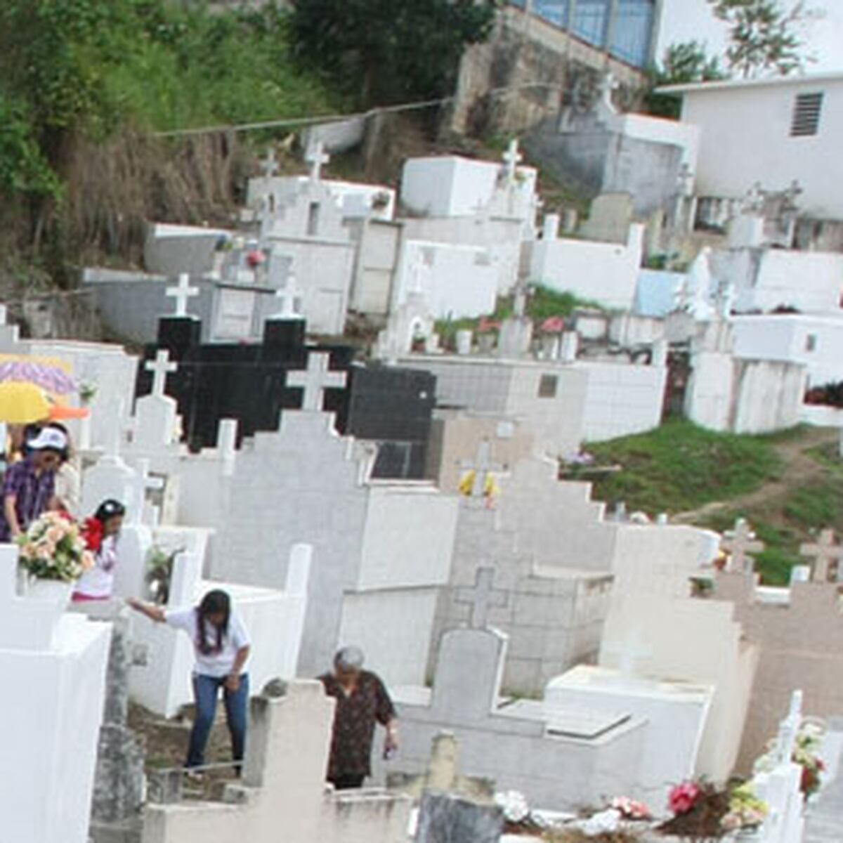 Se meten a robar en cementerio de Vega Baja Primera Hora