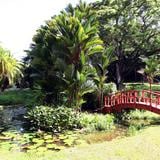 Jardín Botánico en Río Piedras reabre al público