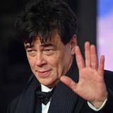 Benicio del Toro entre las estrellas de la Fiesta del Cine de Roma