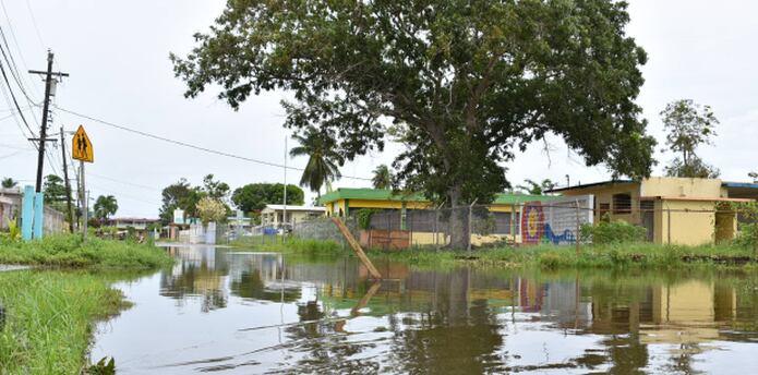Cano Cabo Caribe Hace Estragos En Vega Baja Primera Hora