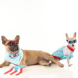 Toy Doggie presenta colección de verano para mascotas
