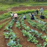 Surge taller de agricultura en distintos pueblos de la Isla