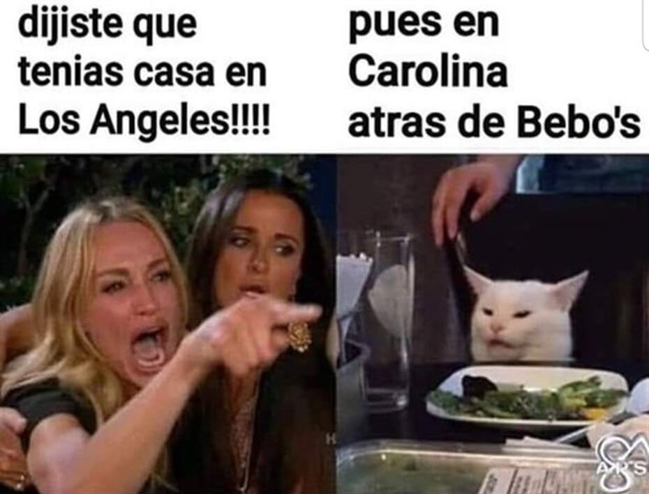 Los Memes Del Famoso Gato Primera Hora