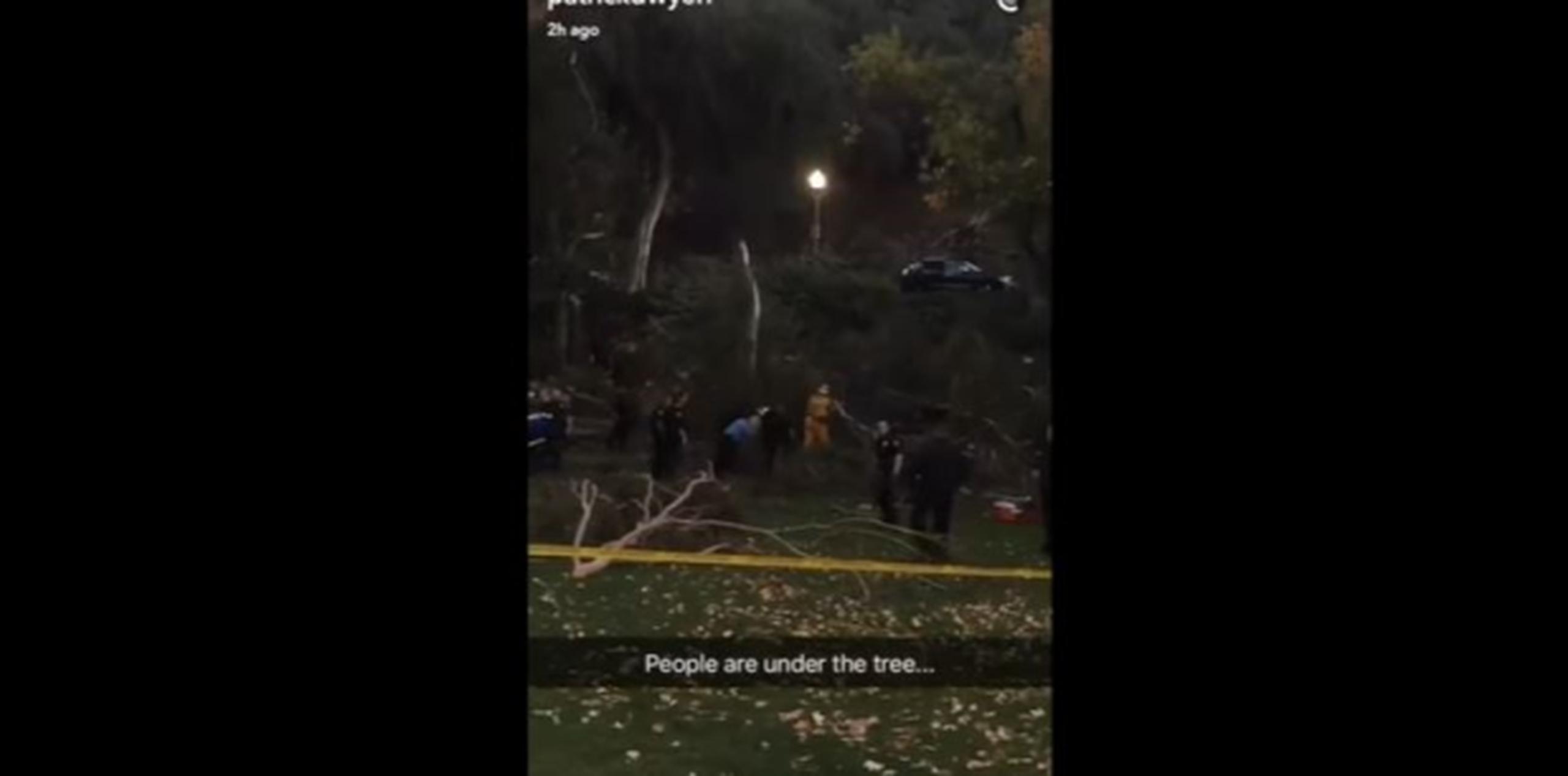 Varias personas quedaron atrapadas bajo el árbol en el Parque Penn de Whittier, informó el Departamento de Bomberos del condado Los Ángeles. (Captura)