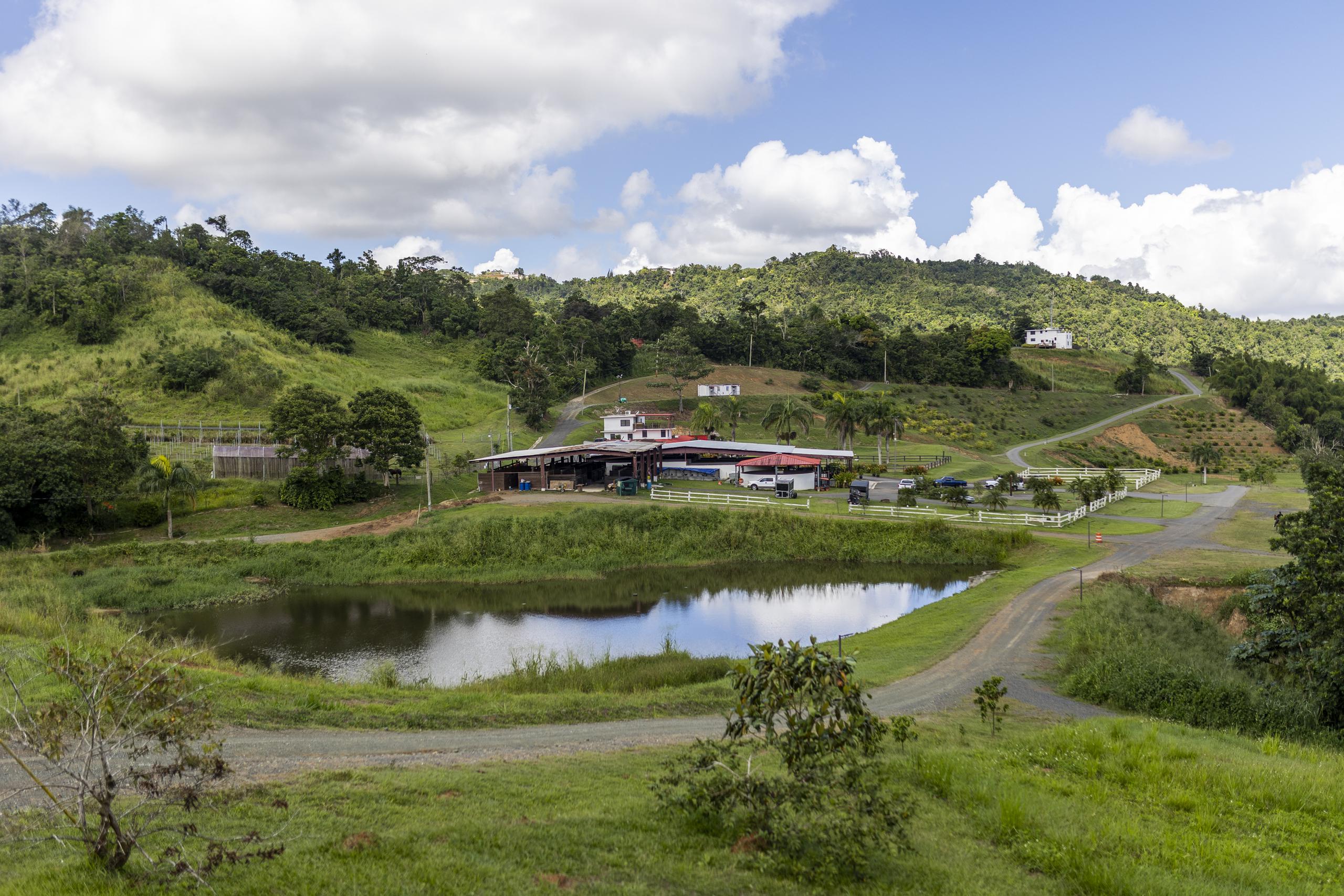 Hacienda Cascada tiene variedad de cultivos, un restaurante que lleva por nombre La Casona, un área de “glamping”, una “suite” y un área de posadas