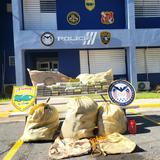 Ocupan cargamento de cocaína valorado en $35 millones en costa de Patillas 