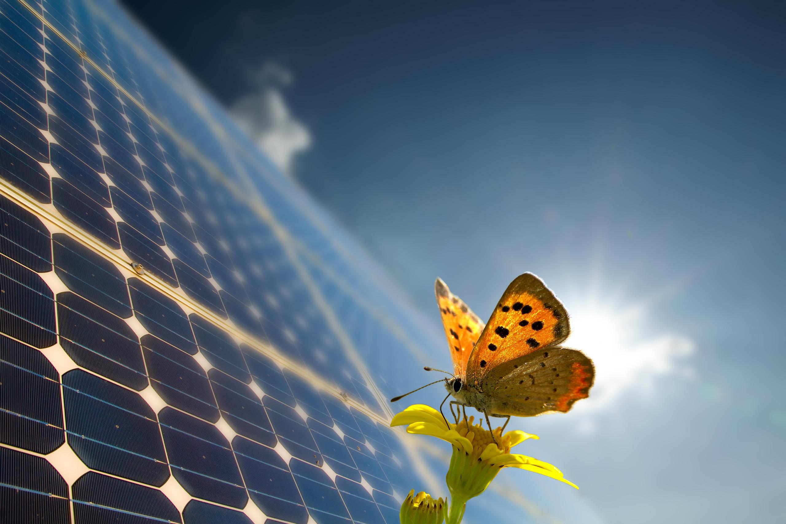 Los sistemas solares son una alternativa ecoamigable, pues no tienen un impacto ambiental.
