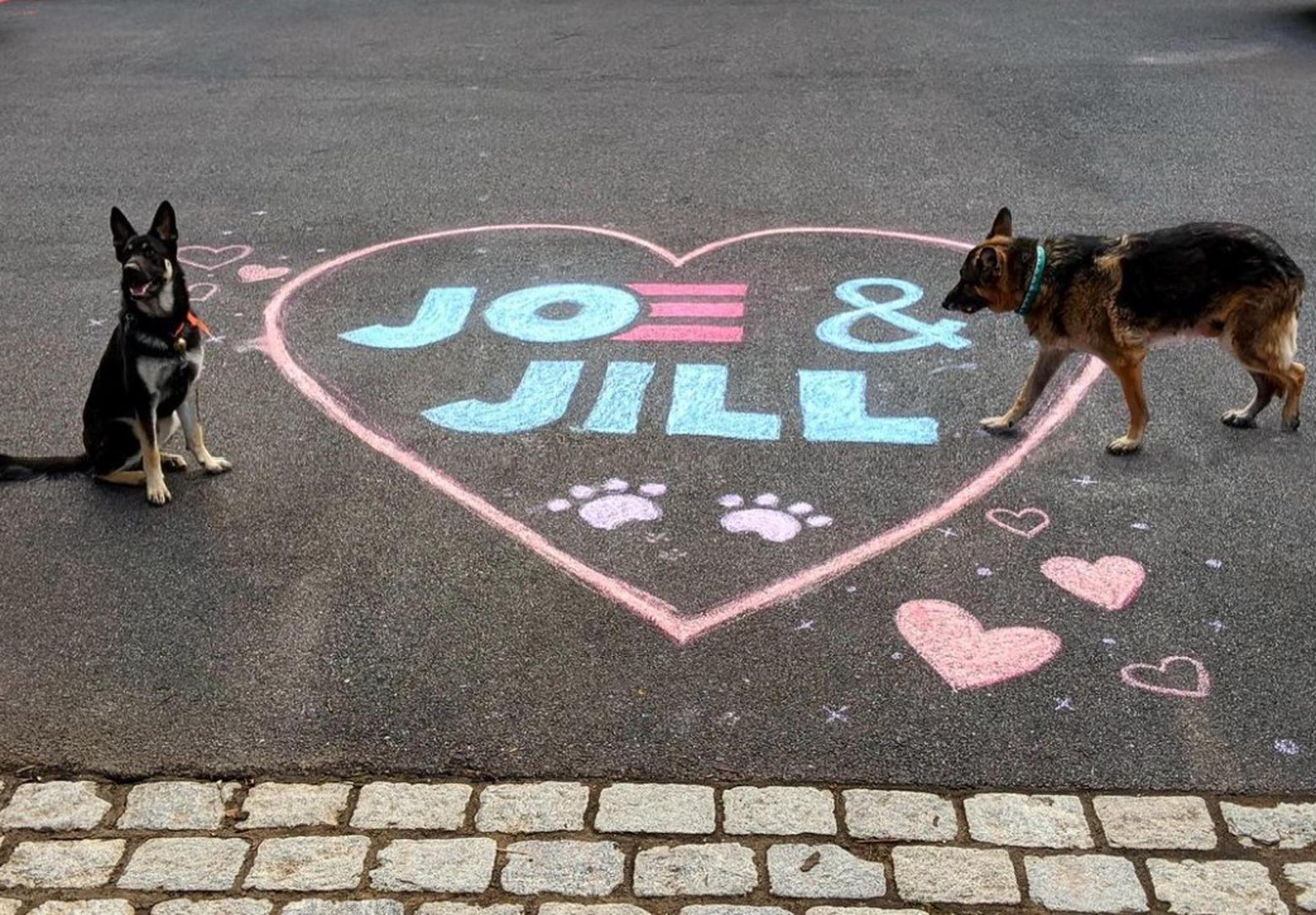 Los perros de Joe Biden y Jill Biden.