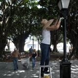 Ponen bonita la Plaza Las Delicias en Naguabo