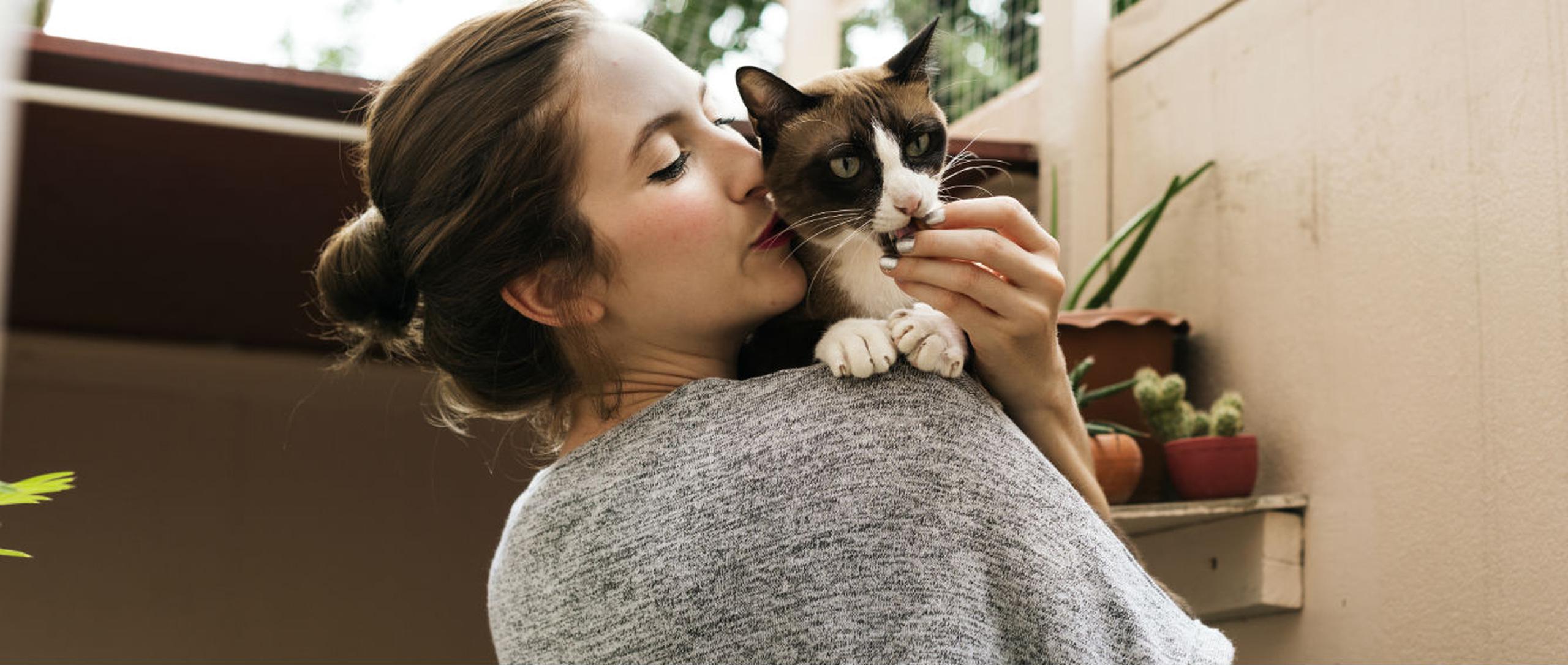 Más que una moda, los gatos son un gran compromiso. (Shutterstock)