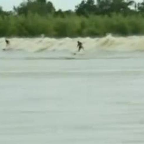 Surfistas desafían olas gigantescas de un río de Brasil