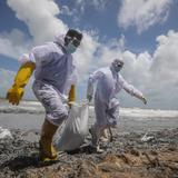 Temen lluvia ácida en Sri Lanka por incendio de barco en su costa 